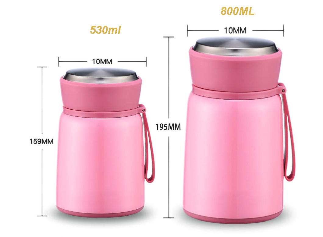 R&eacute;cipient d'aliments isol&eacute;s 